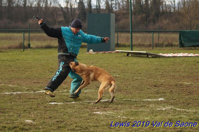 2019 ring val de saone gaf1.jpg